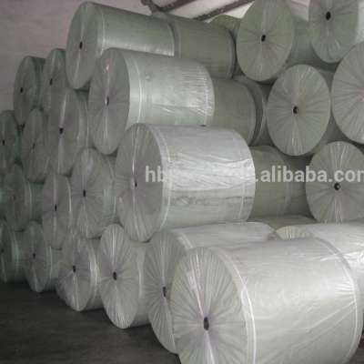 Reinforce layer for SBS waterproof membrane Polyester fabric